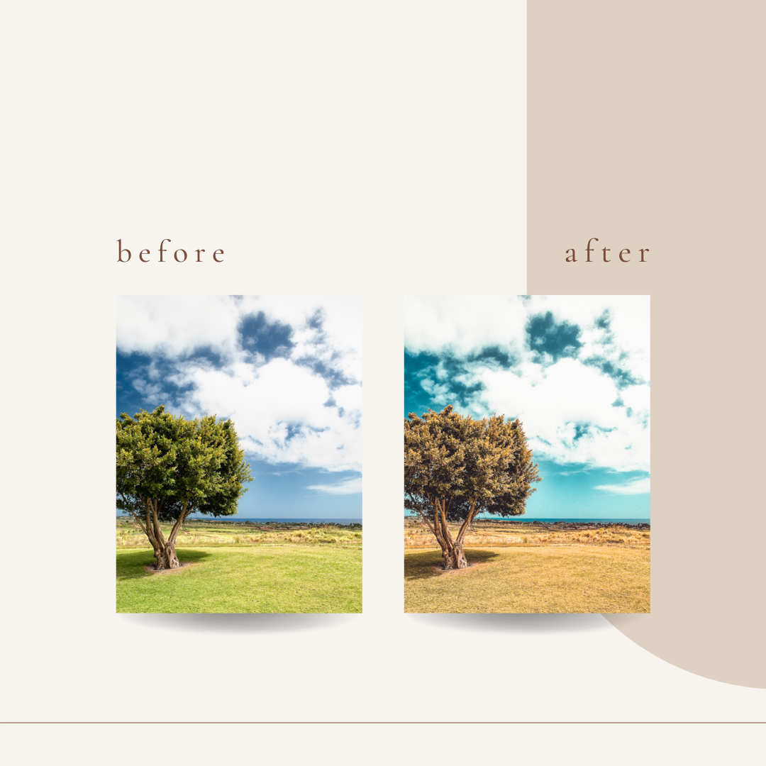 Mother Nature presets before after